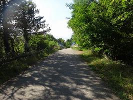 Chemin du Dachsbuhl in Colmar