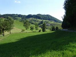 Saisenberg (589m) im Brettental