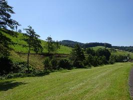 Waldshutbach (Brettenbach)