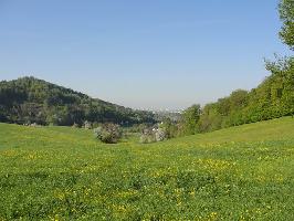 Lehener Eck: Blick Wildtal