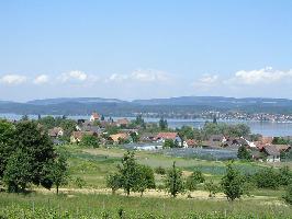 Reichenau - Insel  im Bodensee » Bild 16