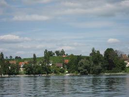 Reichenau - Insel  im Bodensee » Bild 17