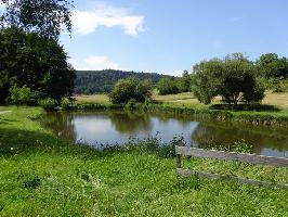 rtelweiher: Westblick