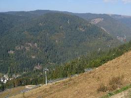 Berg Spechtsboden (1139m) bei Todtnau