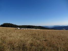 Baumliege Todtnauberg: Westansicht